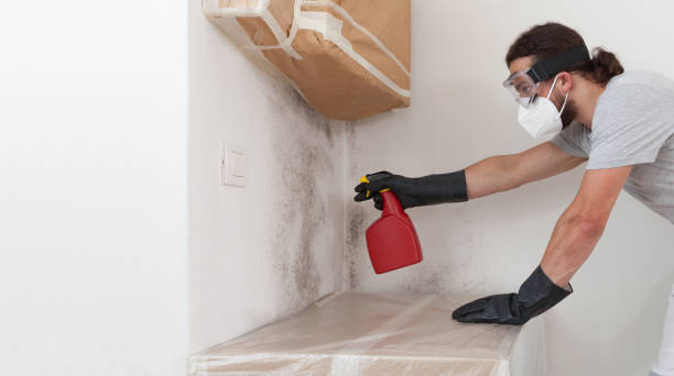 Professional Bathroom Mold Removal technician working in Harrellsville, NC