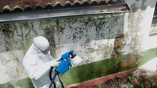 Top rated local Bathroom Mold Removal specialists in Harrellsville, NC